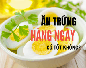 ĂN TRỨNG MỖI NGÀY CÓ TỐT KHÔNG?
