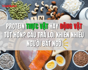 PROTEIN THỰC VẬT HAY ĐỘNG VẬT TỐT HƠN? CÂU TRẢ LỜI KHIẾN NHIỀU NGƯỜI BẤT NGỜ