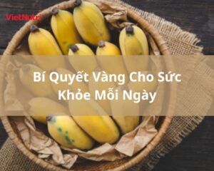 DINH DƯỠNG TỪ CHUỐI – BÍ QUYẾT VÀNG CHO SỨC KHỎE MỖI NGÀY
