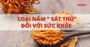 ĐÔNG TRÙNG HẠ THẢO LÀ LOẠI NẤM