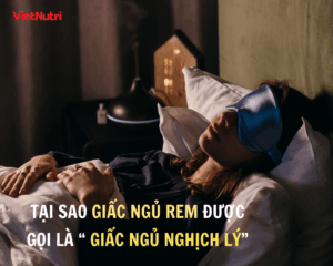 TẠI SAO GIẤC NGỦ REM ĐƯỢC GỌI LÀ GIẤC NGỦ