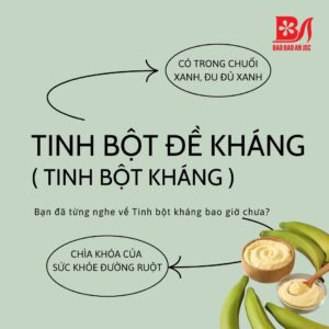 CÁCH TẠO TINH BỘT KHÁNG TỪ CHUỐI XANH HỖ TRỢ DẠ DÀY VÀ GIẢM CÂN TỰ NHIÊN