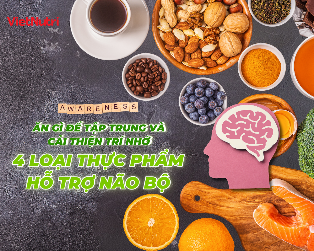 THỰC PHẨM HỖ TRỢ NÃO BỘ