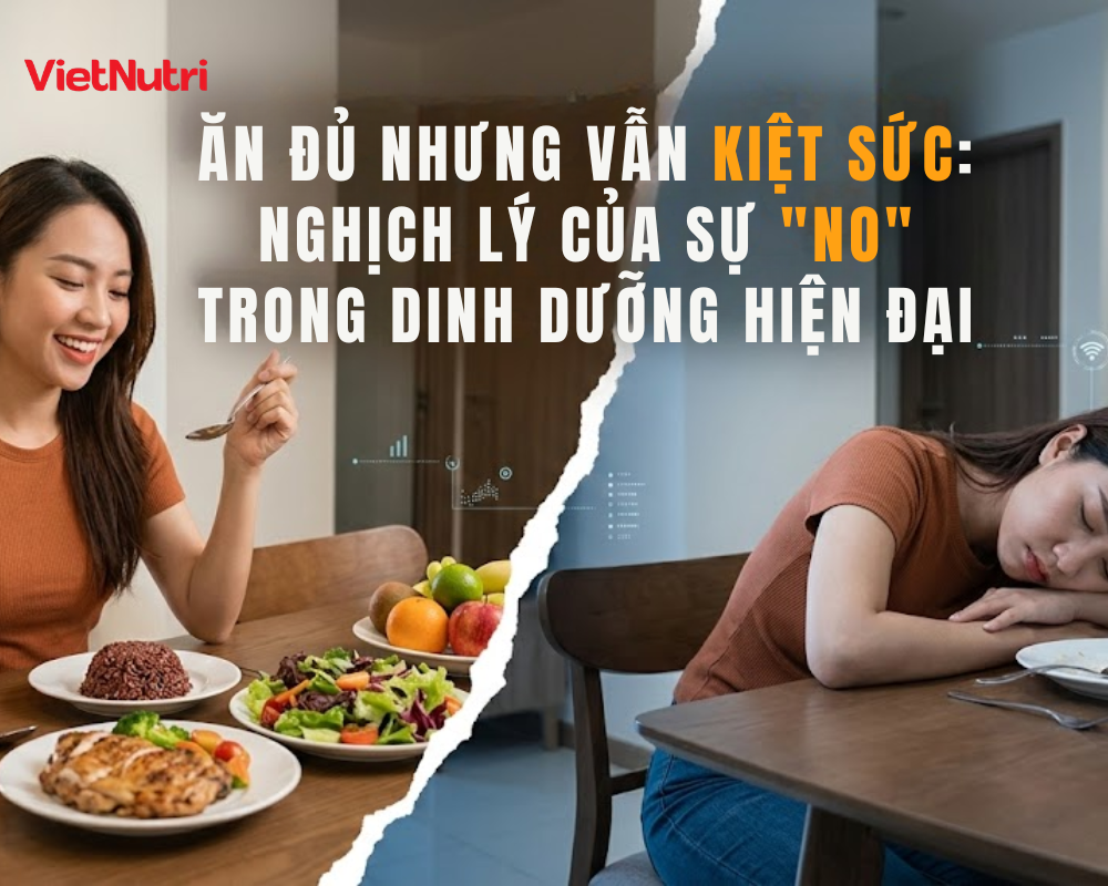 Buổi sáng thức dậy uể oải, buổi chiều lại rơi vào cơn buồn ngủ trắng mắt, dù bụng vẫn đang no.